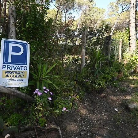 I Gigli Di Mare Guest house
