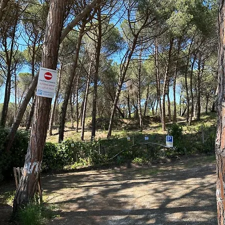 I Gigli Di Mare